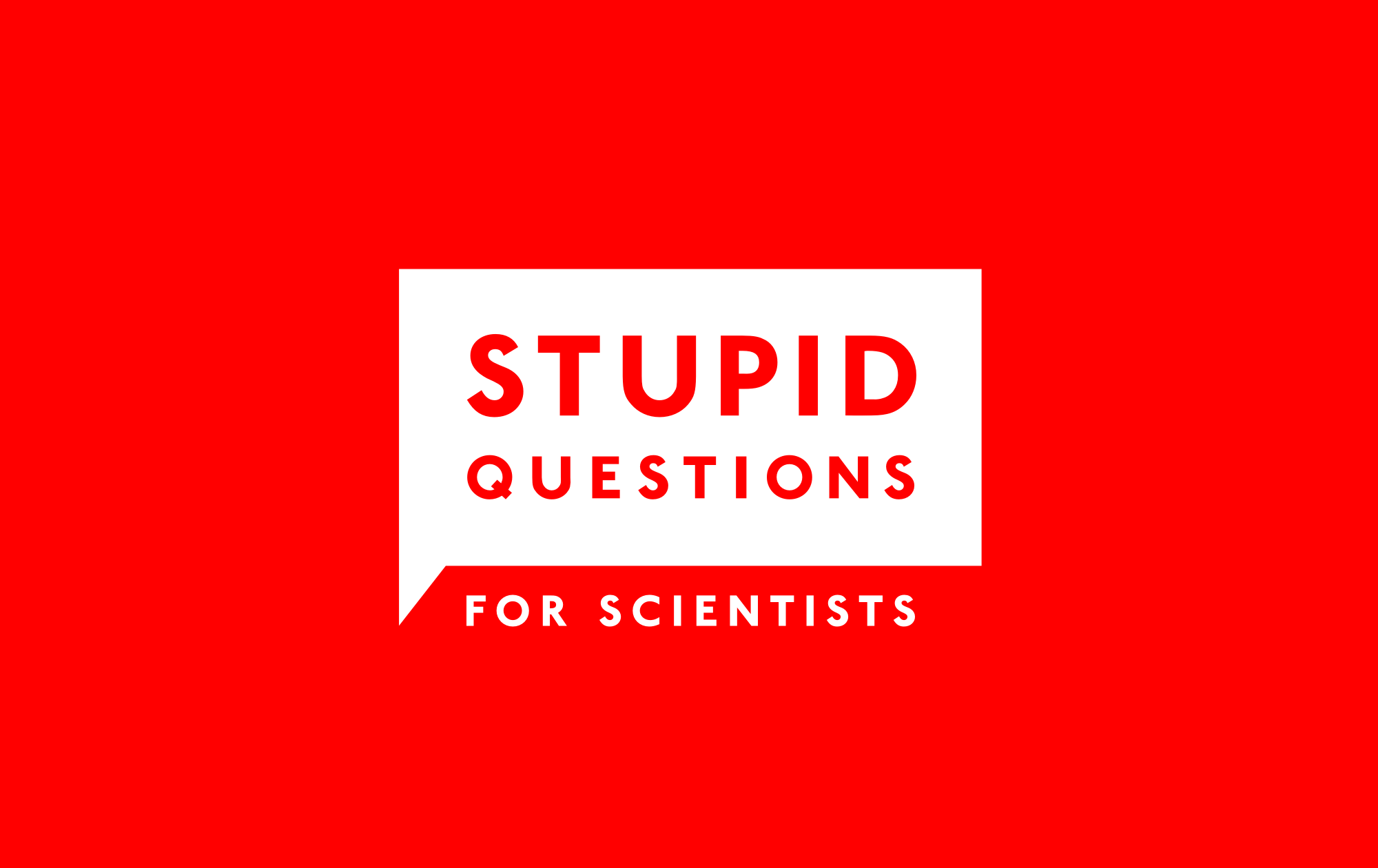 1. Are humans really the smartest animals in the animal kingdom? - World  Podcasts